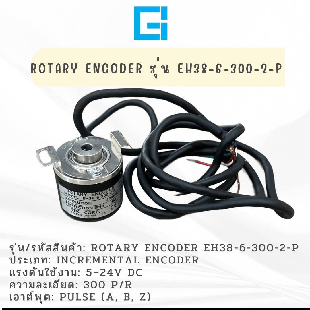 โรตารี่ อินคูเดอร์ รุ่น EH38-6-300-2-P